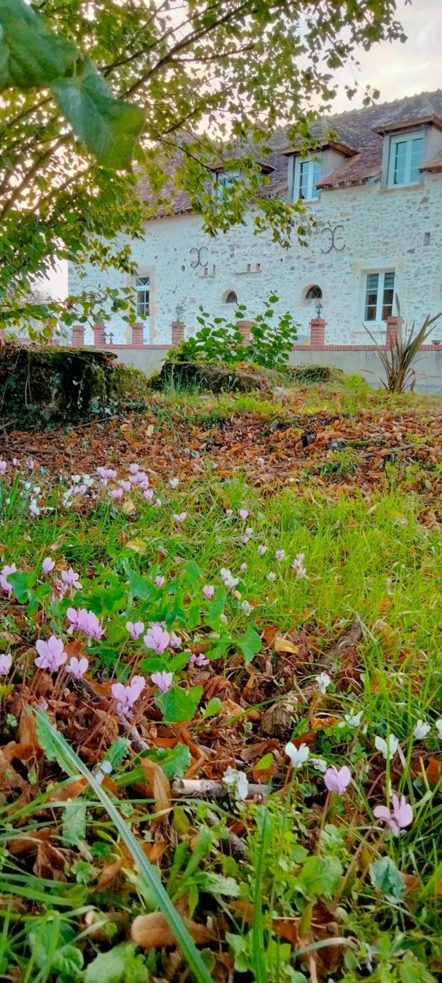 Villa Gite & Chambre D'Hotes Du Moulin à Brûlon Extérieur photo